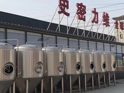 尼玛精酿啤酒设备厂—如何判断精酿啤酒设备的密封件需要更换？